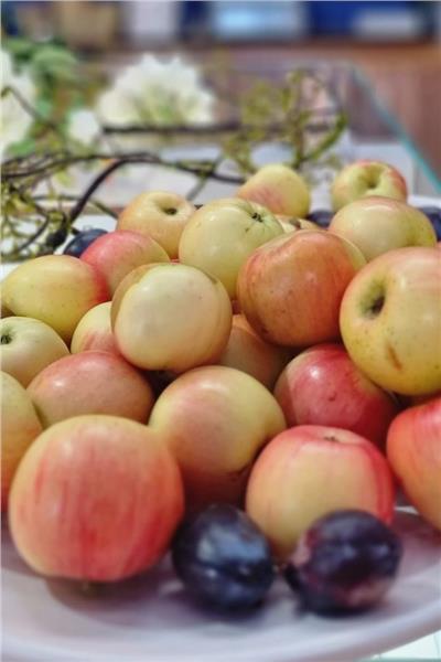 PLATOU DE FRUCTE